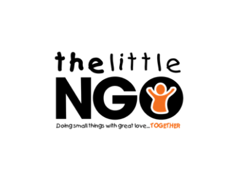 The-LittleNGO-Logo-800x600-1